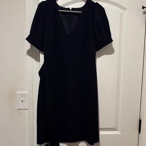 Express Medium Navy Business Dress